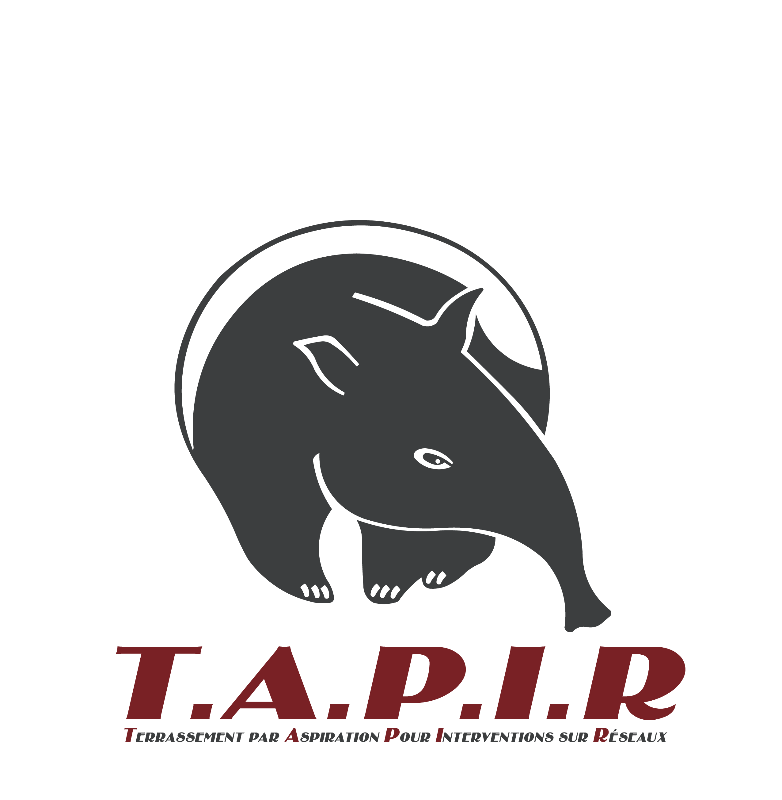 LOGO-TAPIR
